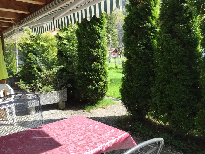 Ferienwohnungen direkt hinter dem Chalet-Hotel Adler
